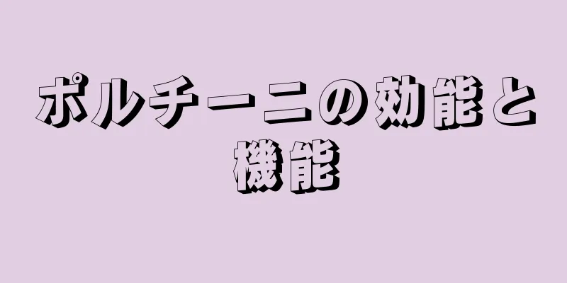 ポルチーニの効能と機能