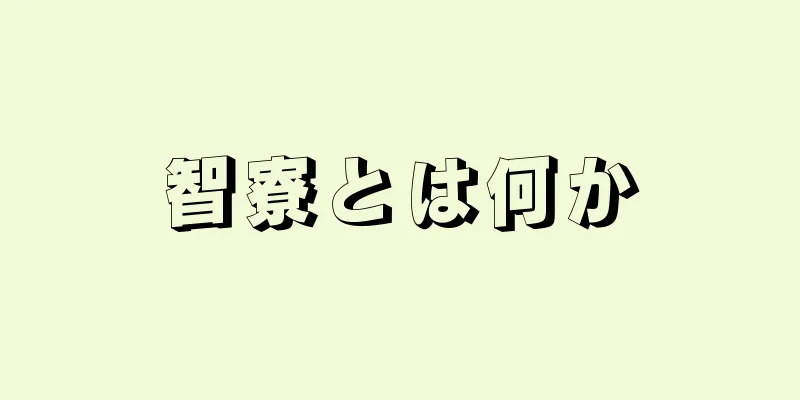 智寮とは何か