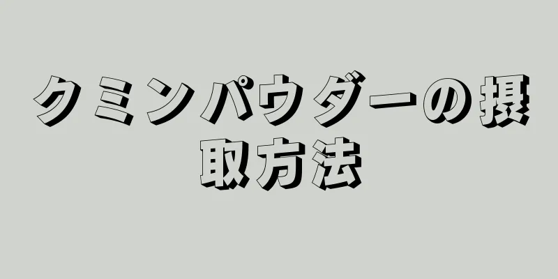 クミンパウダーの摂取方法