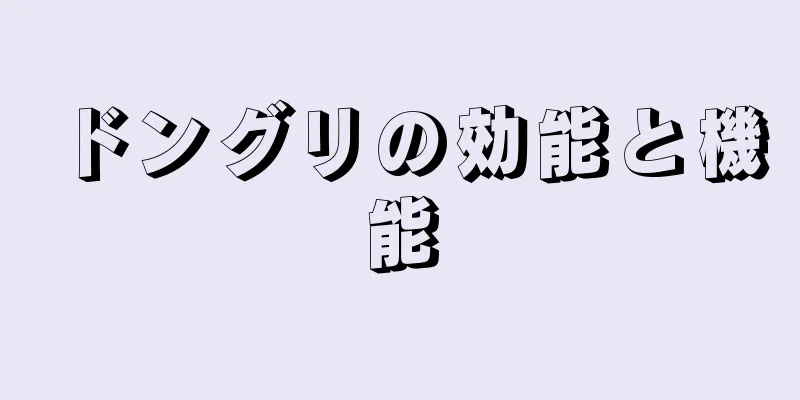 ドングリの効能と機能