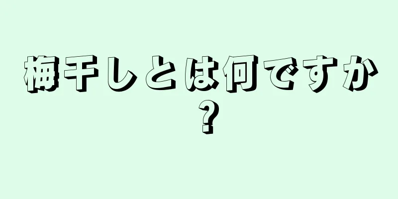 梅干しとは何ですか？