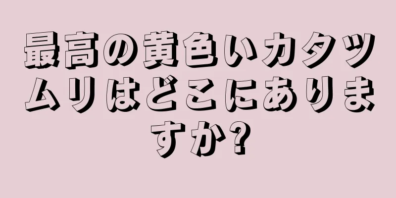 最高の黄色いカタツムリはどこにありますか?