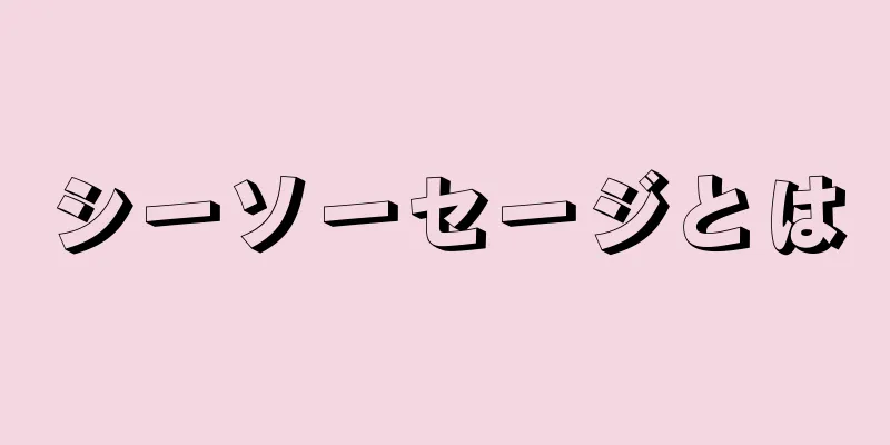 シーソーセージとは