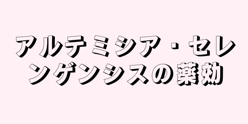 アルテミシア・セレンゲンシスの薬効