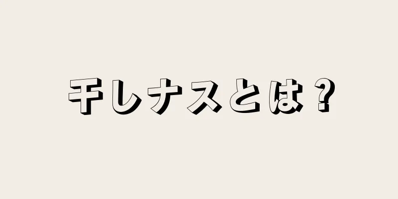 干しナスとは？