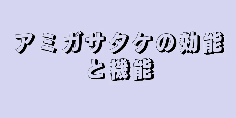 アミガサタケの効能と機能