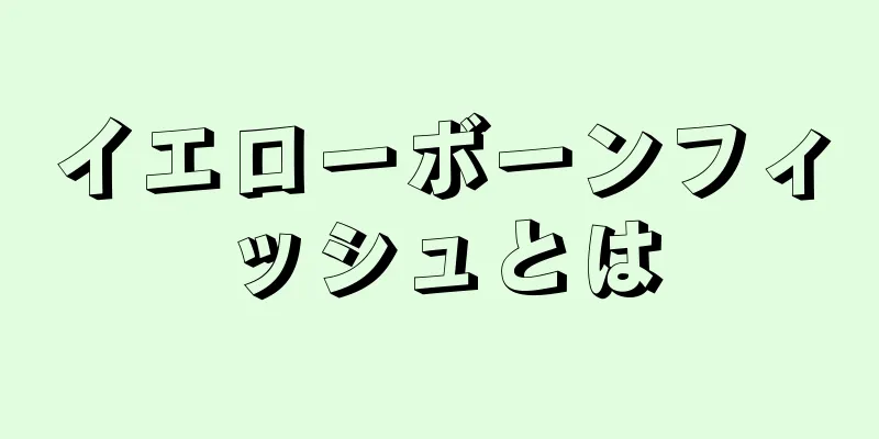 イエローボーンフィッシュとは