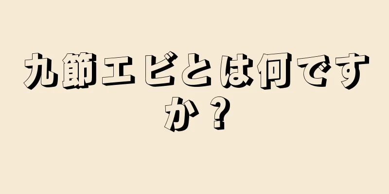 九節エビとは何ですか？