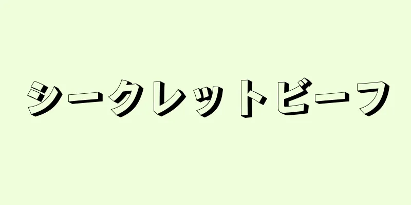 シークレットビーフ