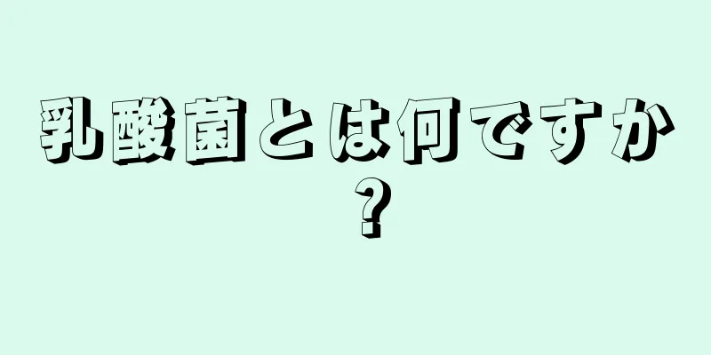 乳酸菌とは何ですか？