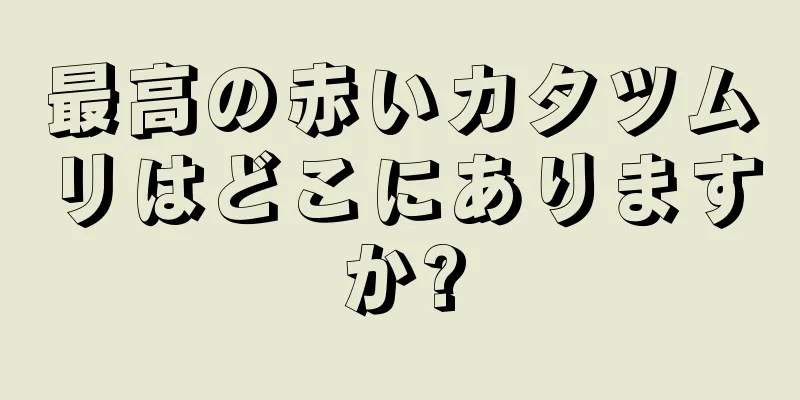 最高の赤いカタツムリはどこにありますか?