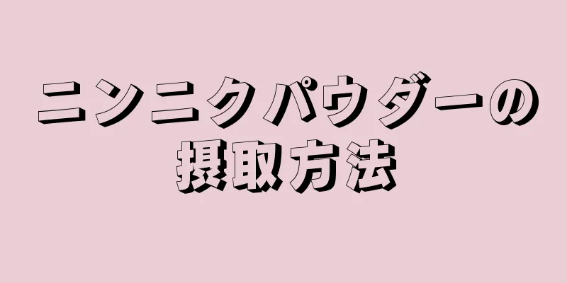 ニンニクパウダーの摂取方法