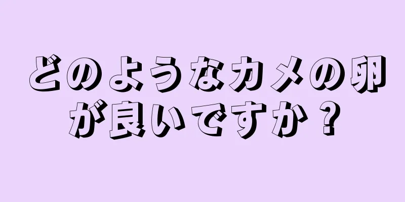 どのようなカメの卵が良いですか？