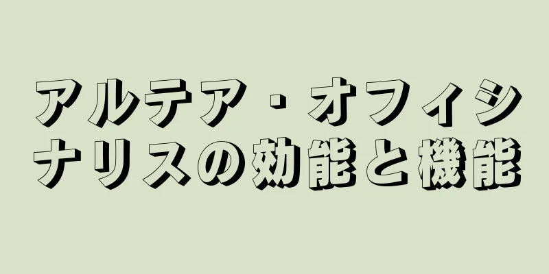 アルテア・オフィシナリスの効能と機能