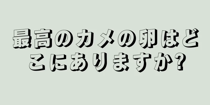 最高のカメの卵はどこにありますか?