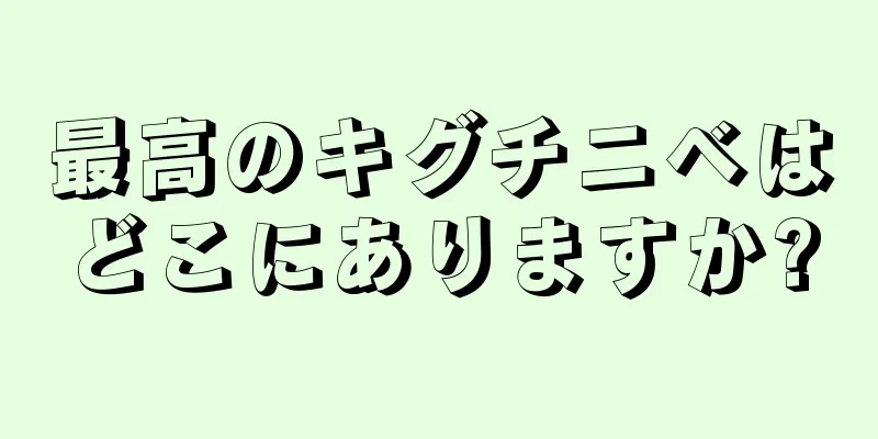 最高のキグチニベはどこにありますか?