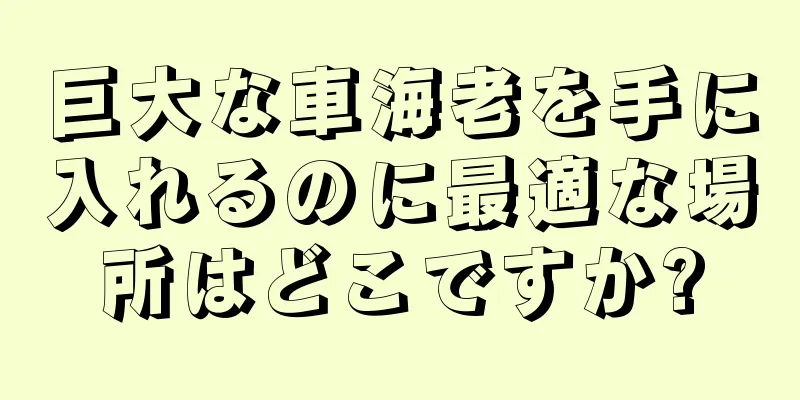 巨大な車海老を手に入れるのに最適な場所はどこですか?