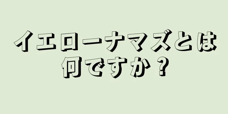 イエローナマズとは何ですか？