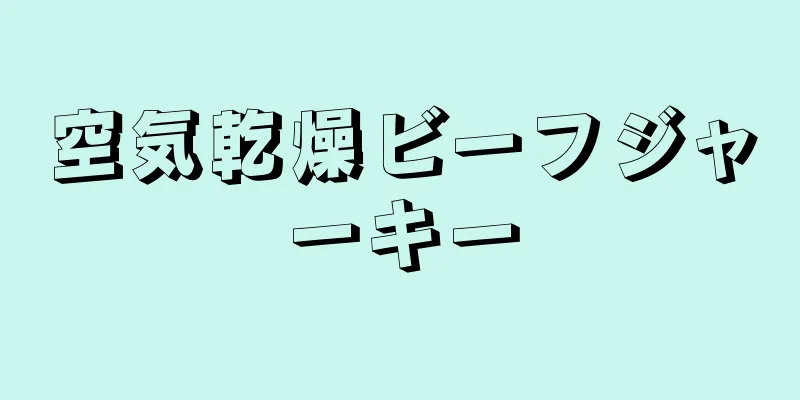 空気乾燥ビーフジャーキー