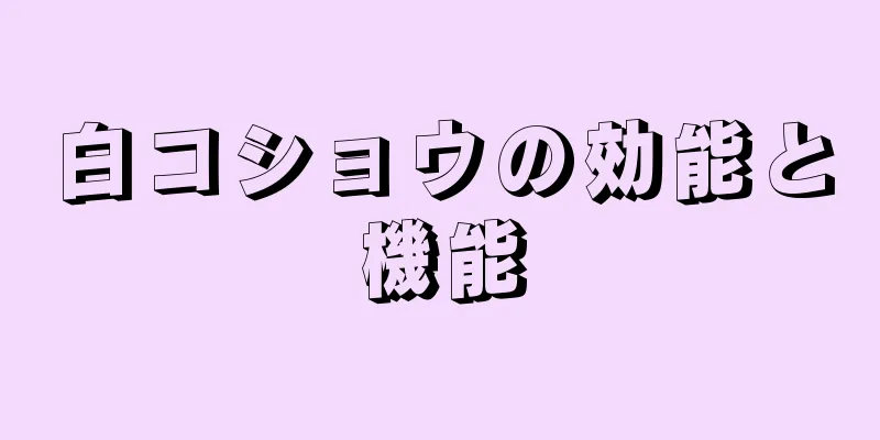 白コショウの効能と機能