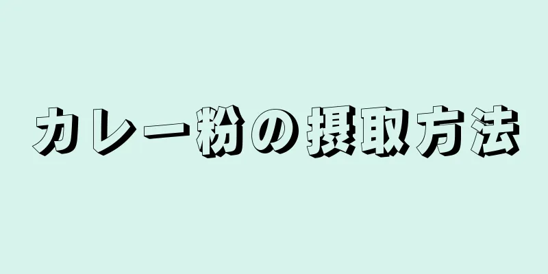 カレー粉の摂取方法