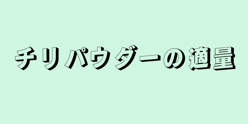 チリパウダーの適量