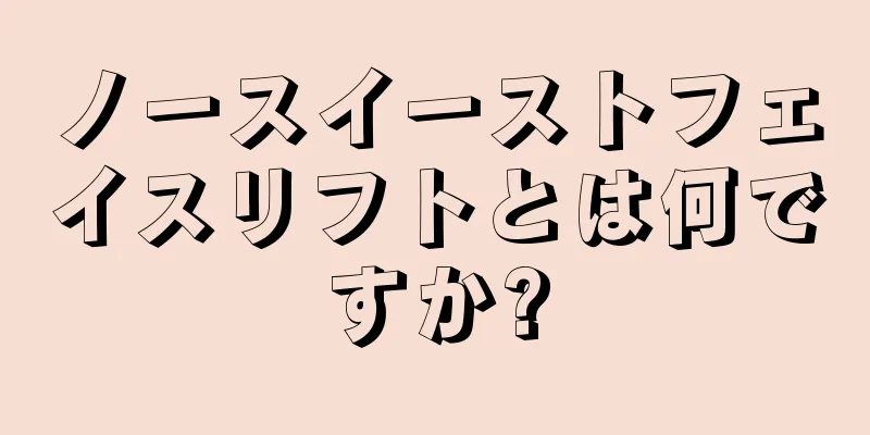 ノースイーストフェイスリフトとは何ですか?