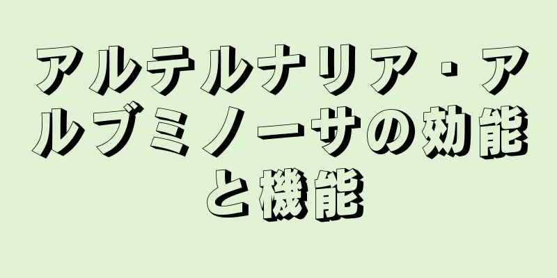 アルテルナリア・アルブミノーサの効能と機能