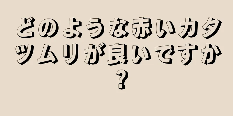 どのような赤いカタツムリが良いですか？