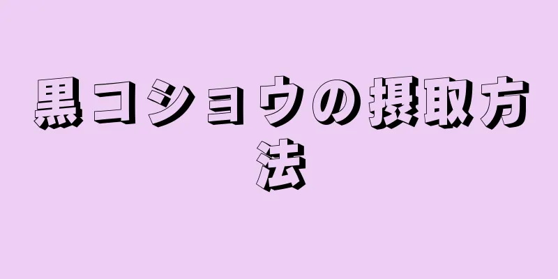 黒コショウの摂取方法