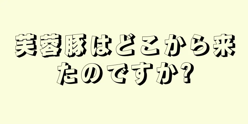 芙蓉豚はどこから来たのですか?