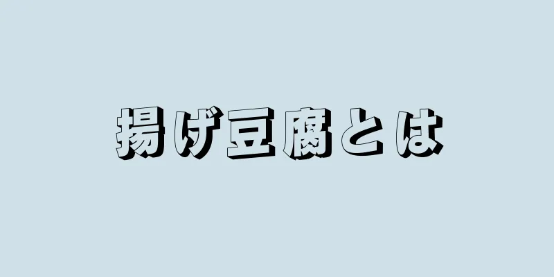 揚げ豆腐とは