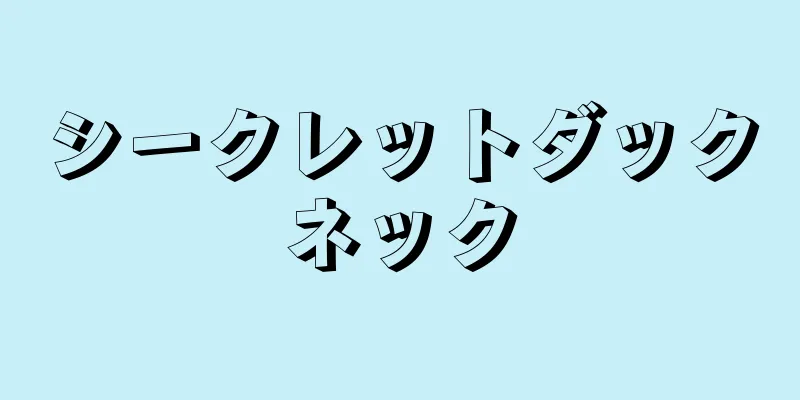 シークレットダックネック