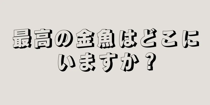 最高の金魚はどこにいますか？