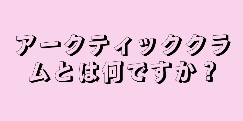 アークティッククラムとは何ですか？