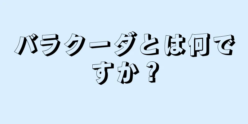 バラクーダとは何ですか？