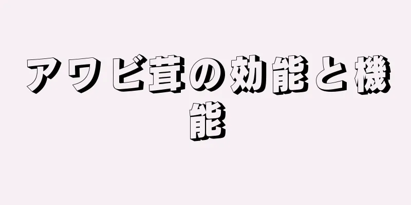 アワビ茸の効能と機能