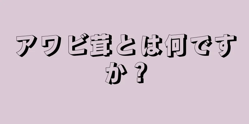 アワビ茸とは何ですか？