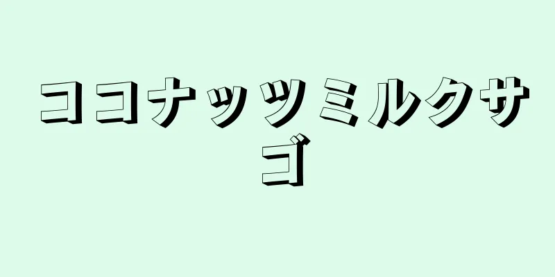 ココナッツミルクサゴ