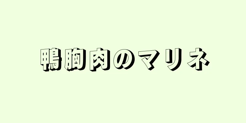 鴨胸肉のマリネ