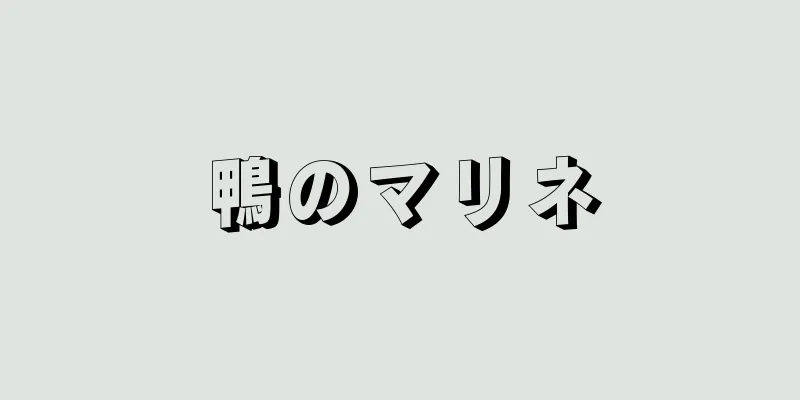 鴨のマリネ