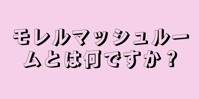 モレルマッシュルームとは何ですか？