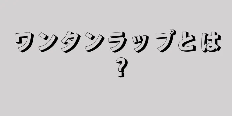 ワンタンラップとは？