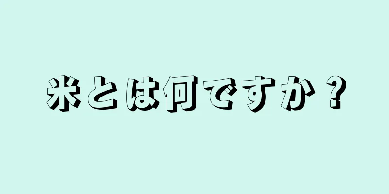 米とは何ですか？