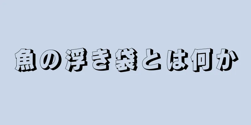 魚の浮き袋とは何か