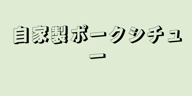 自家製ポークシチュー