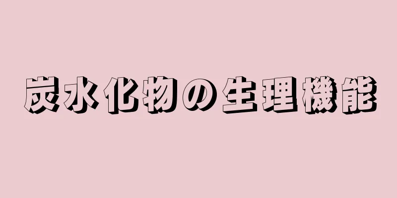 炭水化物の生理機能