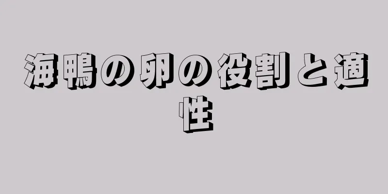 海鴨の卵の役割と適性