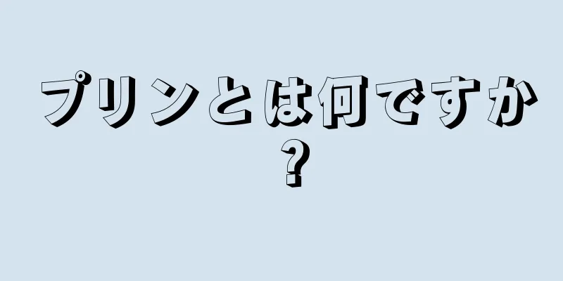 プリンとは何ですか？