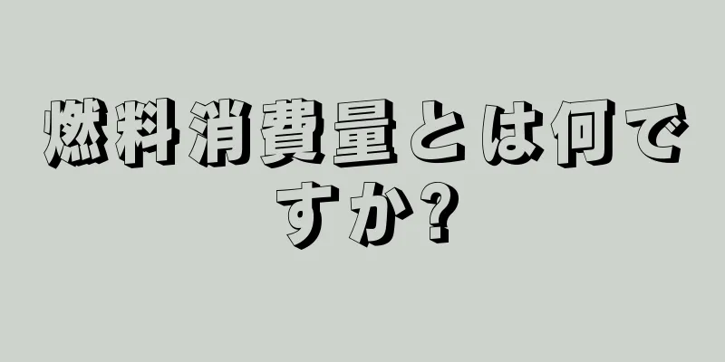 燃料消費量とは何ですか?